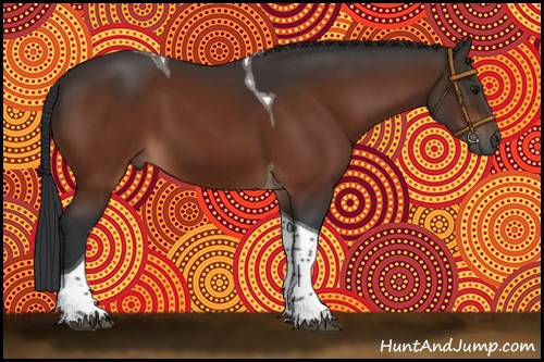 Horse Color:Brown Tobiano 