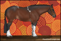 Horse Color:Brown Tobiano 