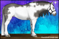 Horse Color:Grullo Sabino Splash Frame