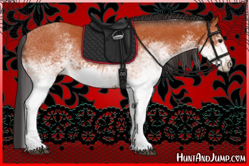 Horse Color:White Spotted Bay Rabicano 