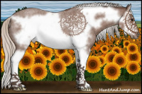 Horse Color:Silver Blue Roan Splash Frame