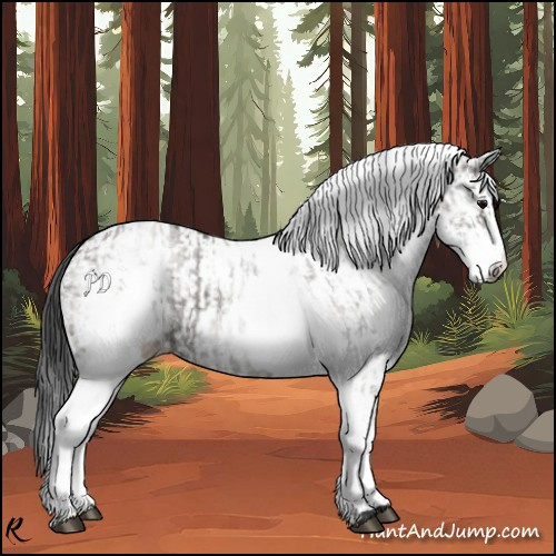 Horse Color:White Spotted Grullo Rabicano and White Spotted Grullo Rabicano