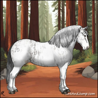 Horse Color:White Spotted Grullo Rabicano and White Spotted Grullo Rabicano