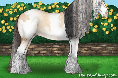 Horse Color:White Spotted Bay Dun Rabicano  and White Spotted Amber Champagne Dun Rabicano 