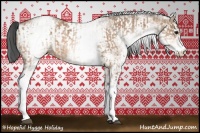 Horse Color:White Spotted Bay Dun Rabicano  and White Spotted Bay Dun Rabicano 