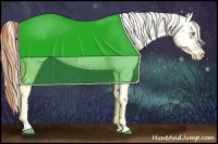 Horse Color:Gold Champagne Near Leopard  and White Spotted Gold Champagne Near Leopard 