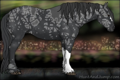 Horse Color:Black Ice 