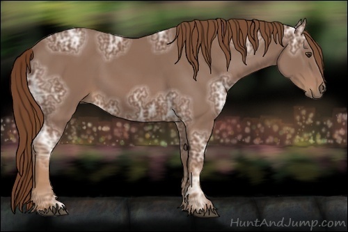 Horse Color:Chestnut Ice 