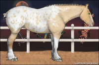 Horse Color:Gray Silver Amber Cream Champagne Roan Dun Splash Tobiano Frame Appaloosa Rabicano 