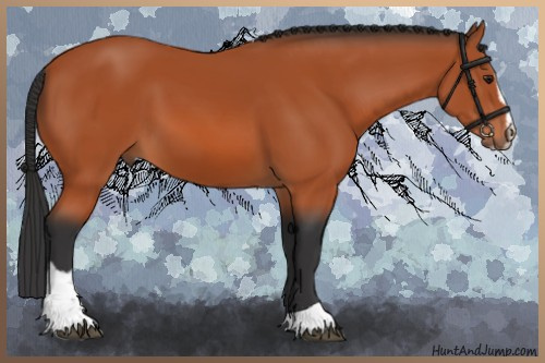 Horse Color:Brown Sabino 