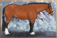 Horse Color:Brown Sabino 