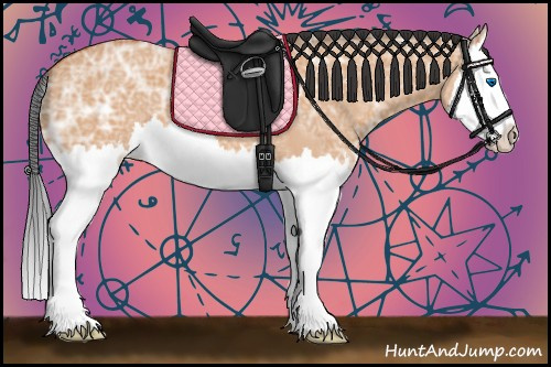 Horse Color:Bay Ice Dun Splash 