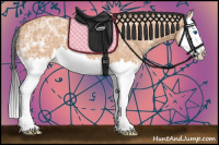 Horse Color:Bay Ice Dun Splash