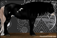 Horse Color:Red Dun Snowcap Rabicano