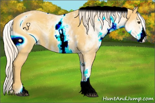 Horse Color:ERROR: UNKNOWN ANOMALY