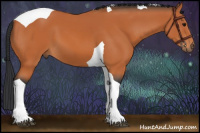 Horse Color:Bay Tobiano