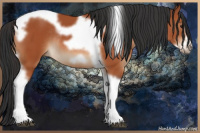 Horse Color:Brown Tobiano Frame Rabicano