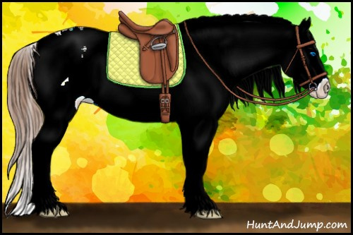 Horse Color:White Spotted Chestnut Splash 