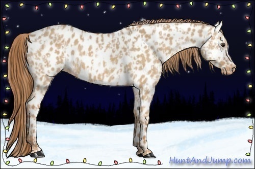 Horse Color:Red Dun Near Leopard  and Red Dun Near Leopard 