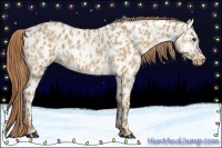 Horse Color:Red Dun Near Leopard  and Red Dun Near Leopard 