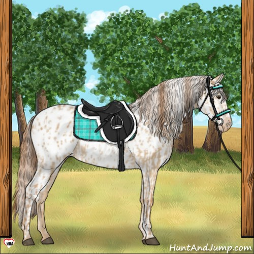 Horse Color:Red Dun Appaloosa  and Red Dun Appaloosa 