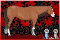 Horse Color:Bay Roan Sabino Splash