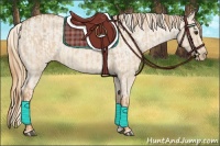 Horse Color:Red Dun Varnish  and Red Dun Varnish 