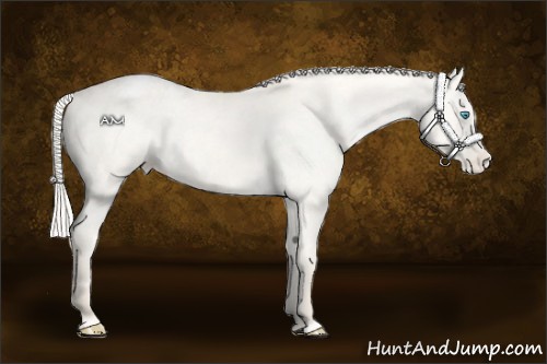 Horse Color:Cremello Dun Blanket and Cremello Dun Blanket Rabicano
