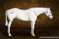 Horse Color:Cremello Dun Blanket  and Cremello Dun Blanket Rabicano 