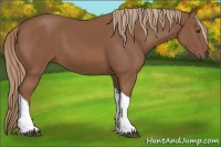 Horse Color:Chestnut Tobiano