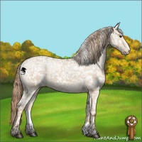 Horse Color:Red Dun Mushroom Sabino Snowflake Varnish  and Red Dun Snowflake Varnish 
