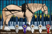 Horse Color:Gold Champagne Tobiano 