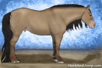 Horse Color:Gray Classic Champagne Roan Dun