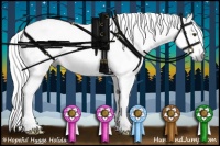 Horse Color:Gray Bay Sabino