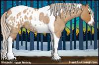 Horse Color:Gray Silver Bay Roan Dun Splash Tobiano Appaloosa Rabicano 