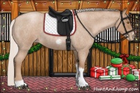 Horse Color:Silver Blue Roan Pearl Tobiano Frame 