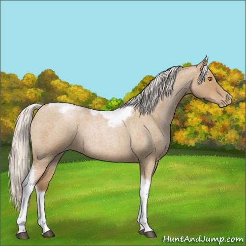 Horse Color:Silver Blue Roan Pearl Tobiano Frame