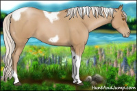 Horse Color:Silver Blue Roan Pearl Tobiano Frame 