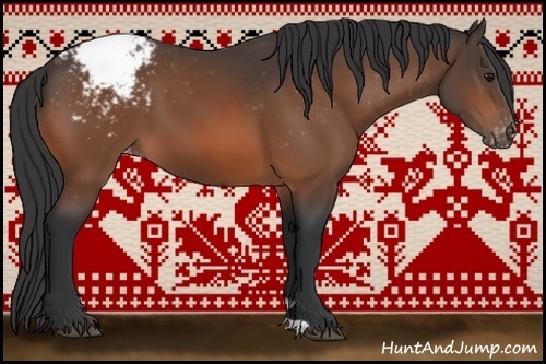 Horse Color:Bay Appaloosa 