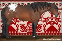 Horse Color:Bay Snowcap 