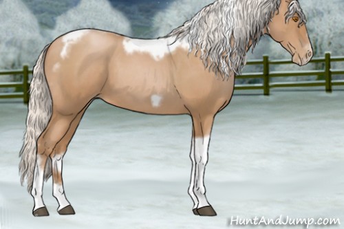 Horse Color:Silver Blue Roan Pearl Tobiano Frame