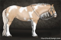 Horse Color:Silver Blue Roan Pearl Tobiano Frame 