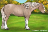 Horse Color:Silver Blue Roan Pearl Tobiano Frame 