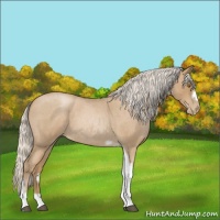 Horse Color:Silver Blue Roan Pearl Tobiano Frame 
