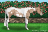 Horse Color:Silver Blue Roan Pearl Tobiano Frame 