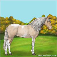 Horse Color:Silver Blue Roan Pearl Tobiano Frame 