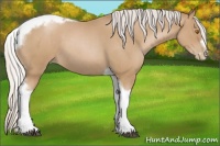 Horse Color:Silver Blue Roan Pearl Splash Tobiano Frame 
