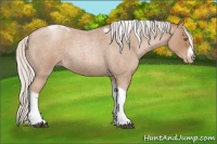 Horse Color:Silver Blue Roan Pearl Tobiano Frame 