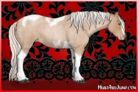 Horse Color:Silver Blue Roan Pearl Tobiano Frame 