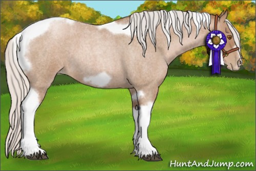 Horse Color:Silver Blue Roan Pearl Tobiano Frame 